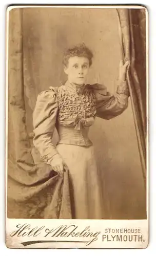 Fotografie Hill & Wakeling, Plymouth, 61 Union Street, Portrait Dame im prachtvoll gerüschten Kleid