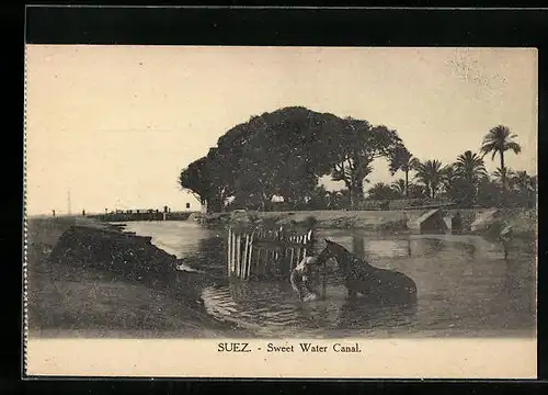 AK Suez, Sweet Water Canal