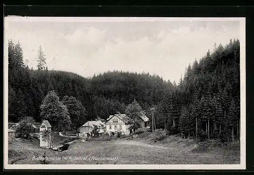 AK Bischofsmühle im Rodachtal, Siedlung am Waldrand