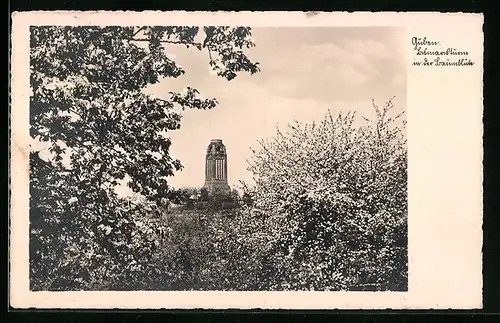 AK Guben, Blick auf den Bismarckturm in der Baumblüte, Landpoststempel