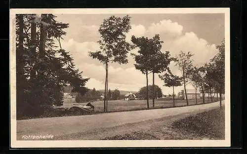 AK Kottenheide, auf der Strasse und Blick zur Ortschaft