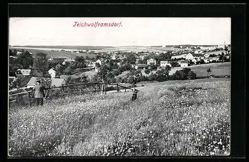 AK Teichwolframsdorf, Blick von den Wiesen auf die gesamte Ortschaft