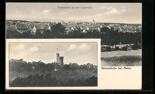 AK Mainz-Gonsenheim, Totalansicht aus der Vogelschau, Blick zum Lennebergturm