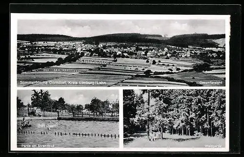 AK Dorndorf bei Limburg Lahn, Generalansicht, Partie am Strandbad, Waldpartie