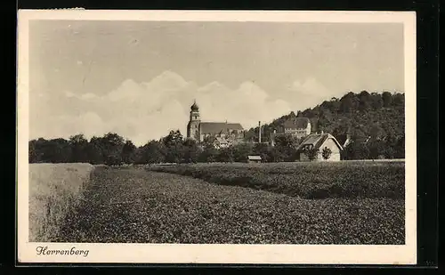 AK Herrenberg, Blick von den Feldern auf die Kirche im Ort