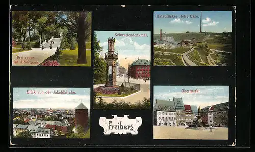 AK Freiberg i. Sa., Blick von der Jakobikirche, Freitreppe im Albertpark, Schwedendenkmal, Halsbrücker Hohe Esse