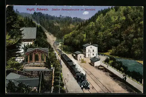 AK Rentzschmühle i. Vogtl. Schweiz, Bahnstation im Steinicht