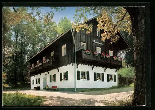 AK Alexandersbad /Fichtelgeb., Pension Schweizerhaus, Furtwängler
