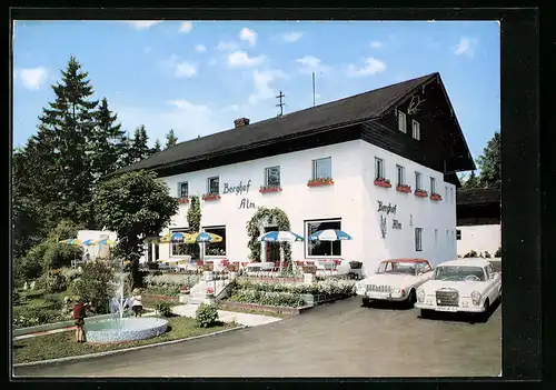 AK Alm-Hofstetten /Fichtelgebirge, Berghof Alm