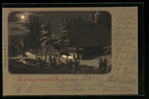 Lithographie Schwarzwaldhaus im Mondschein