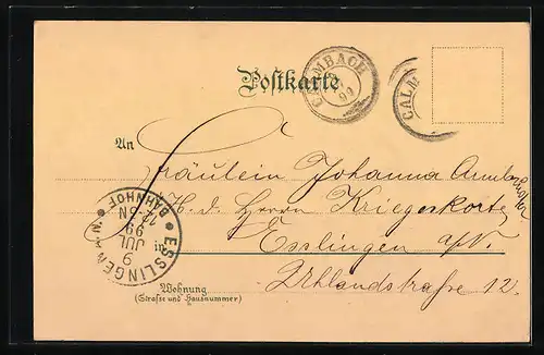 Lithographie Schwarzwaldhaus bei Vollmond