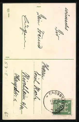 AK Vögel auf rotem Pilz mit Neujahrsgruss