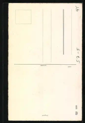 AK Neujahrsgruss, Pilze, Tannenzapfen, Hufeisen, Kleeblättern