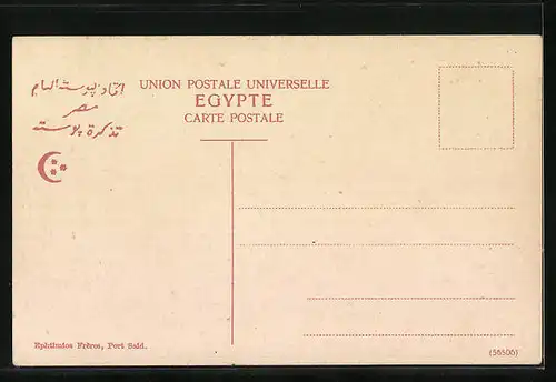 AK Port-Said, Panorama