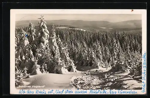 AK Landpoststempel Carolagrün über Auerbach /Vogtl.