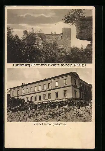 AK Edenkoben /Pfalz, Riefburg, Villa Ludwigshöhe