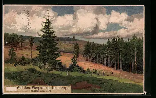 Künstler-AK Feldberg i. T., Ortspartie im Wald