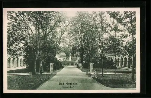 AK Bad Nauheim, Ansicht vom Sprudelhof