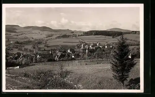 AK Gersfeld /Rhön, Ortsansicht mit Eierhauck u. Dammersfeld