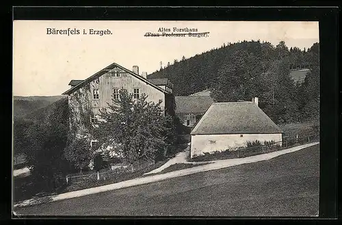 AK Bärenfels i. Erzgeb., Altes Forsthaus im Sommer