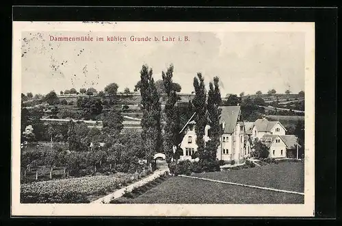 AK Dammenmühle b. Lahr i. B., Ortspartie aus der Vogelschau