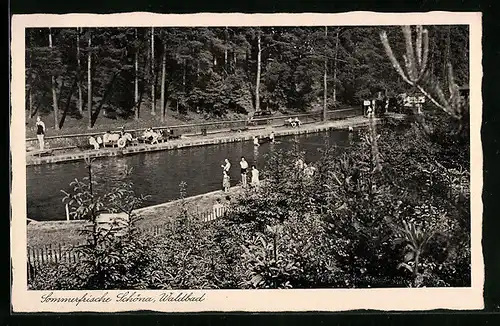 AK Schöna, Badegäste am Waldbad