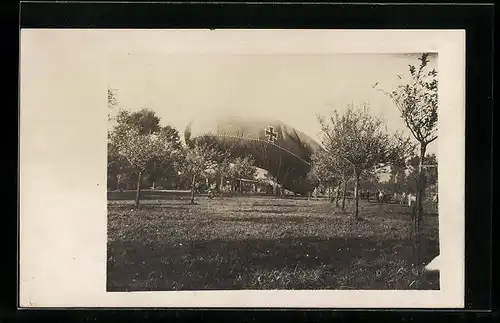 Foto-AK Militär-Ballon in einem Obsthain