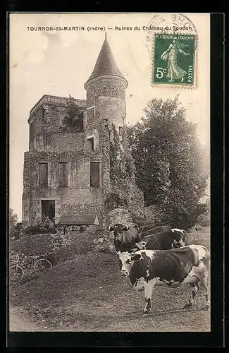 AK Tournon-St-Martin, Ruines du Chateau du Soudun