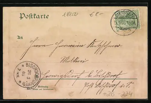 Künstler-AK Erwin Spindler: Meissen, Ortsansicht mit Fluss, Weinrebe