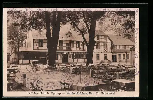 AK Drübber-Holz b. Eystrup, Gasthaus Waldschlösschen von Fr. Hellwinkel