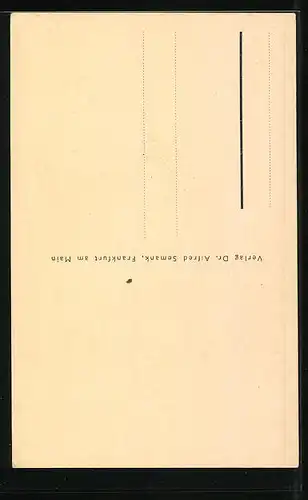 Künstler-AK Schweinfurt a. M., Rathaus