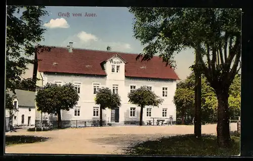 AK Moritzburg, Ansicht vom Gasthaus Auer