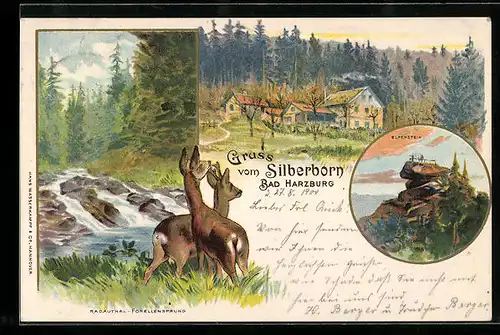 Lithographie Bad Harzburg, Silberhorn, Elfenstein, Radautal