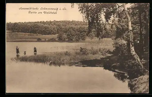AK Schmannewitz i. Sa., Partie am Waldteich