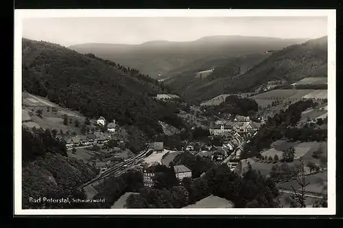 AK Bad Peterstal /Schwarzwald, Teilansicht