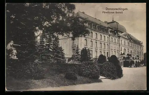 AK Donaueschingen, Fürstliches Schloss