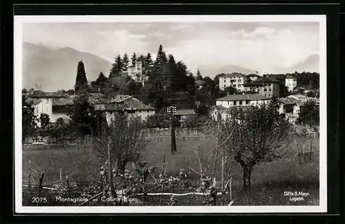 AK Montagnola, Collina d`oro