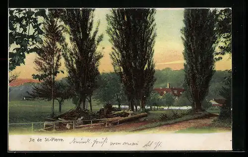 AK Ile de St.-Pierre, Feldweg mit Gehölz