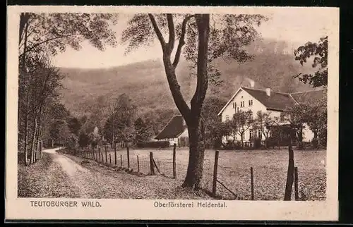 AK Heidental /Teutoburger Wald, Oberförsterei Heidental