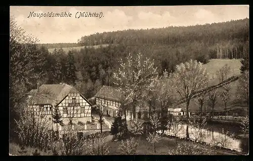AK Mühltal b. Eisenberg, Blick auf Waldhaus Naupoldsmühle