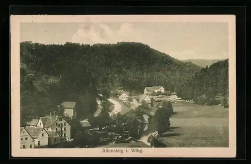 AK Altensteig i. Wtbg., Generalansicht des Ortes