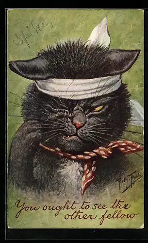 Künstler-AK Arthur Thiele: Schwarzer Kater hat nach einer Schlägerei ein dickes Auge