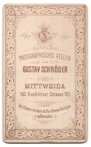 Fotografie Gustav Schröder, Mittweida, junge Dame im Gründerzeitkleid mit Schleife