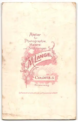 Fotografie M. Lange, Colditz i. S., Bäckergeselle in Dienstkleidung mit Schürze