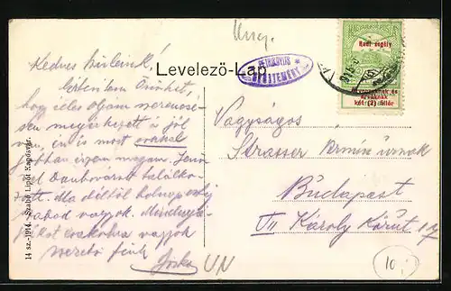 AK Kaposvar, Erzsebet utca