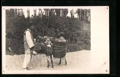 AK Serbischer Mann in Tracht mit Esel