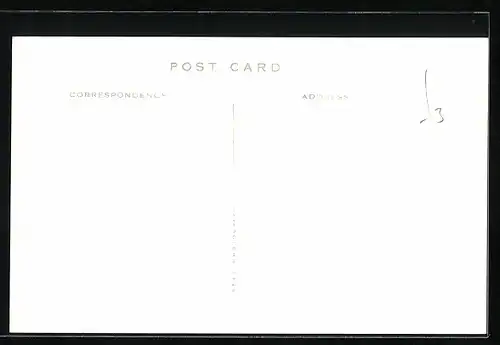 AK M. S. Maltese Prince, Handelsschiff in voller Fahrt