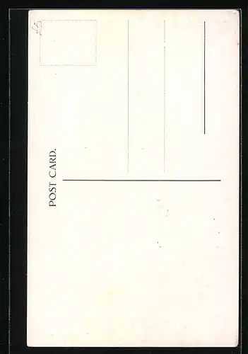 Künstler-AK Passagierschiff Pennland, Red Star Line