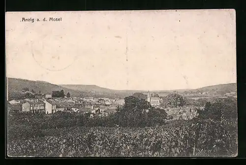 AK Anzig a. d. Mosel, Generalansicht