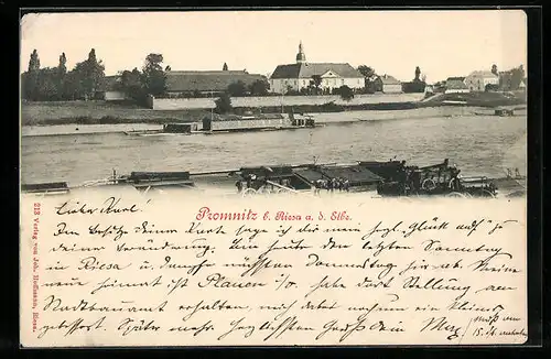 AK Promnitz bei Riesa /Elbe, Panorama mit Elbe